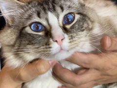 -白兔子密室(长寿路店)