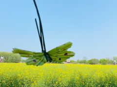 -长兴太湖图影湿地文化园