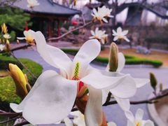 -碑林公园