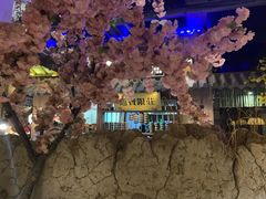 -淀里船宴(裕华东路店)