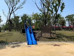 -春花秋色城市公园