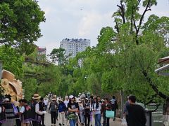 -翠湖公园