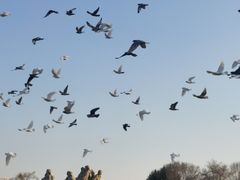 -好利来(革新店)