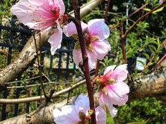 -钟山体育运动公园
