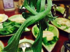 -一叶一世界•素食餐厅(环球中心店)