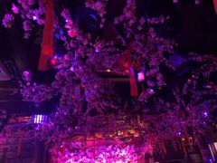 -周庄红庭演艺酒吧