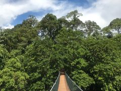 -乌鲁淡布隆国家公园