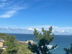 -南紀白浜 浜千鳥の湯 海舟