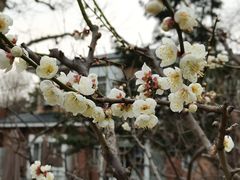 -苏州公园(双塔街道)