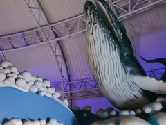 -烟台海昌鲸鲨海洋公园