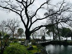 -浙江西子宾馆·瑶园咖啡厅