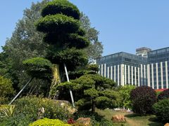 -南宁南湖公园