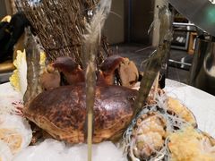 -日进一片海.生腌海鲜火锅.宵夜烧烤(三里屯总店)