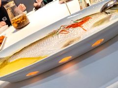 鸡汤蒸大白鱼-一品江南韵·淮扬菜