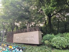 -西溪国家湿地公园-西溪天堂正门停车场