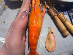-奔海甄选·活鲜刺身铁板烧自助(太原里店)