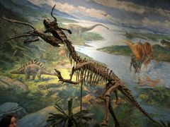 -自贡恐龙博物馆