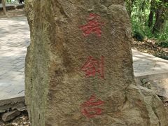 -上海佘山国家森林公园天马山园