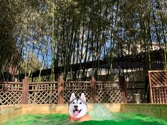 -春晖园度假酒店温泉