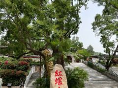 -红螺寺