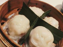 招牌虾饺妹-虾饺妹·酒家(海珠广场店)