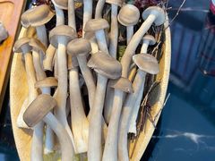 -享月汤皇·海鲜小火锅·聚会(曲江创意谷店)