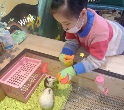 -神奇动物撸宠馆·羊驼·小浣熊·异宠(豫园店)