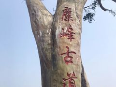 -长沙黑麋峰国家森林公园