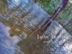 -滨千鸟之汤 海舟