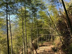 -仙霞关景区