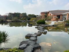 -上海海湾国家森林公园