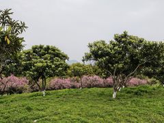 -饭橘汉江码头·乡野土菜馆(静安路店)