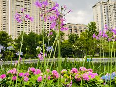 -星巴克(上海交通大学店)