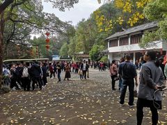 -大慈岩风景区