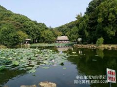 -团城山公园