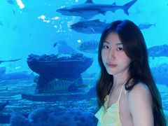 -亚特兰蒂斯•OSSIANO奥西亚诺海底餐厅