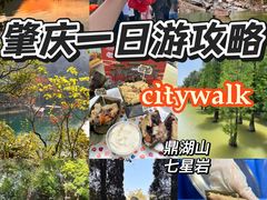 -鼎香皇高佬苏裹蒸粽