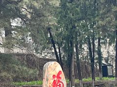 -北京鹫峰国家森林公园