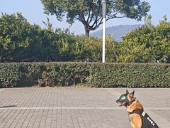 景点-橘子洲景区