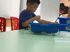 -童程童美·信息学竞赛·机器人编程·少儿编程(大钟寺校区)