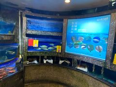 -北海渔村酒楼·粤菜海鲜点心(新华店)