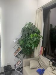 -MT美发沙龙工作室