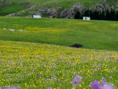 -新疆那拉提国家旅游度假区