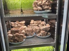 -捞王猪肚鸡火锅(金华义乌之心店)
