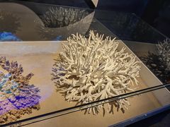 -天津自然博物馆