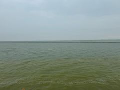 -贡湖湾湿地公园