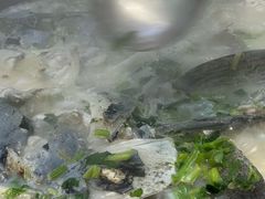 -好灶头妈妈菜·柴火灶台鱼·千岛湖土菜地标美食