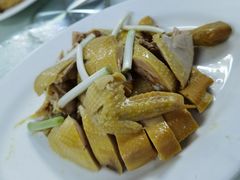 -新陶陶酒家