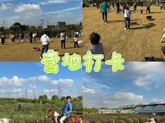 -栖露营camping·天幕烧烤·团建拓展·采摘营地