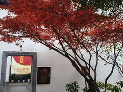 -南京市民俗博物馆(甘熙宅第)